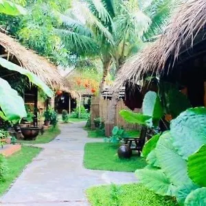 Under The Coconut Tree , Hoi An Vietnam